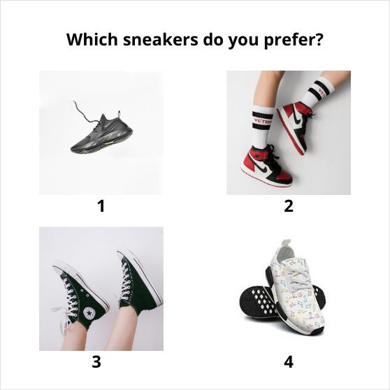 example of an image-based survey question