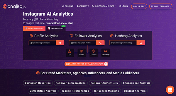 Analisa Instagram AI analytics