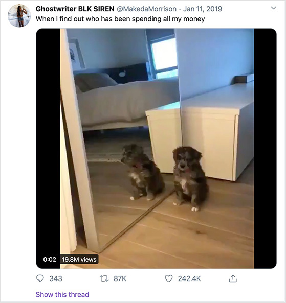 Funny viral twitter video