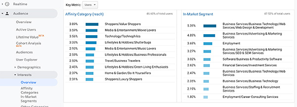 Google analytics demographics