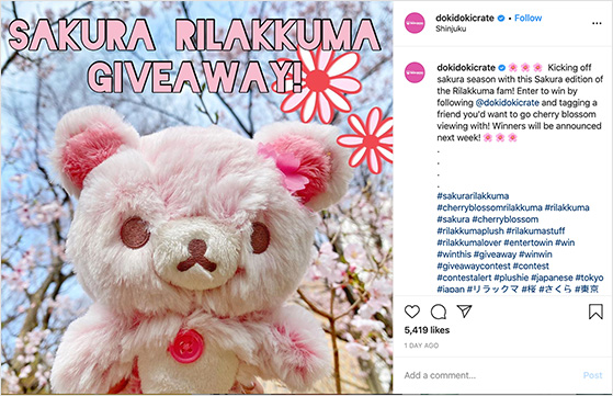 Seasonal Instagram giveaway examples