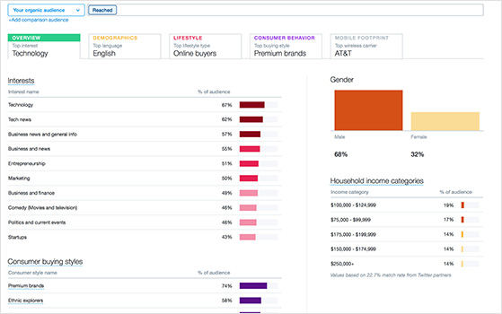 Twitter demographics