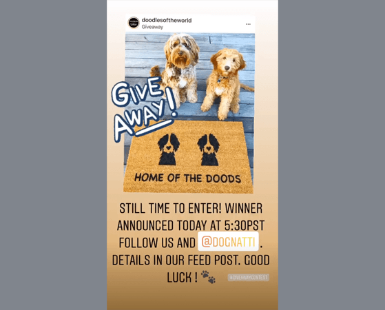 Instagram Story Giveaway: How to Pick a Winner from Stories