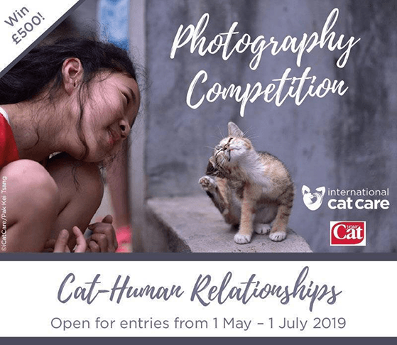 Charity photography contest ideas