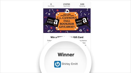 Giveaway winner displayed on widget