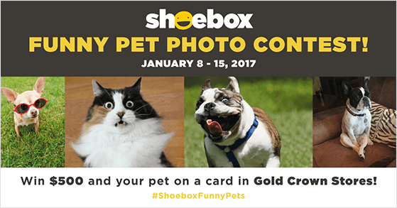 Funny pet photography giveaway ideas