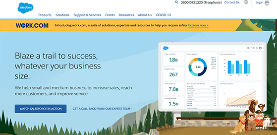 salesforce lead management solution