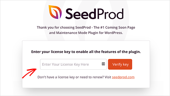 enter your seedprod license key