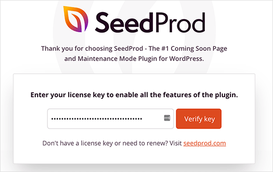 Enter your SeedProd license key