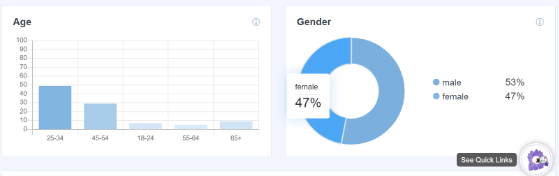 MonsterInsights demographics report