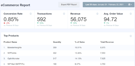 monsterinsights ecommerce reports