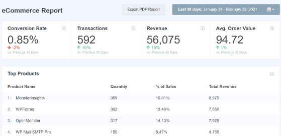 MonsterInsights ecommerce report