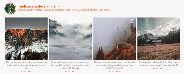 add an instagram feed on your site and display likes and comments