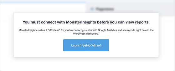 Launch the MonsterInsights setup wizard