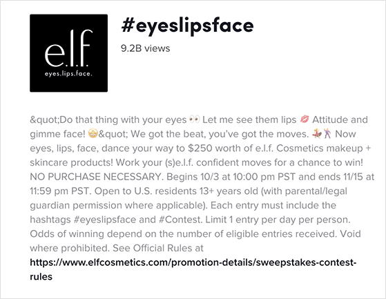 elf cosmetics tiktok contest