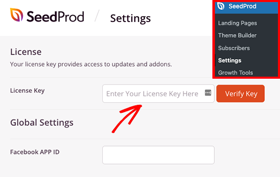 Paste the SeedProd license key in WordPress