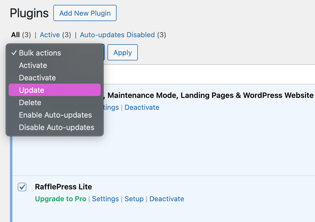Update your WordPress plugins