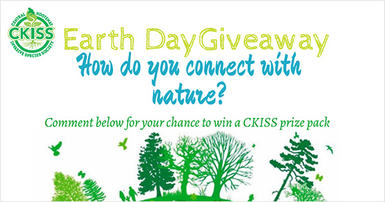 Earth Day giveaway theme