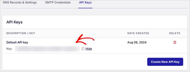 Copy your SendLayer API key