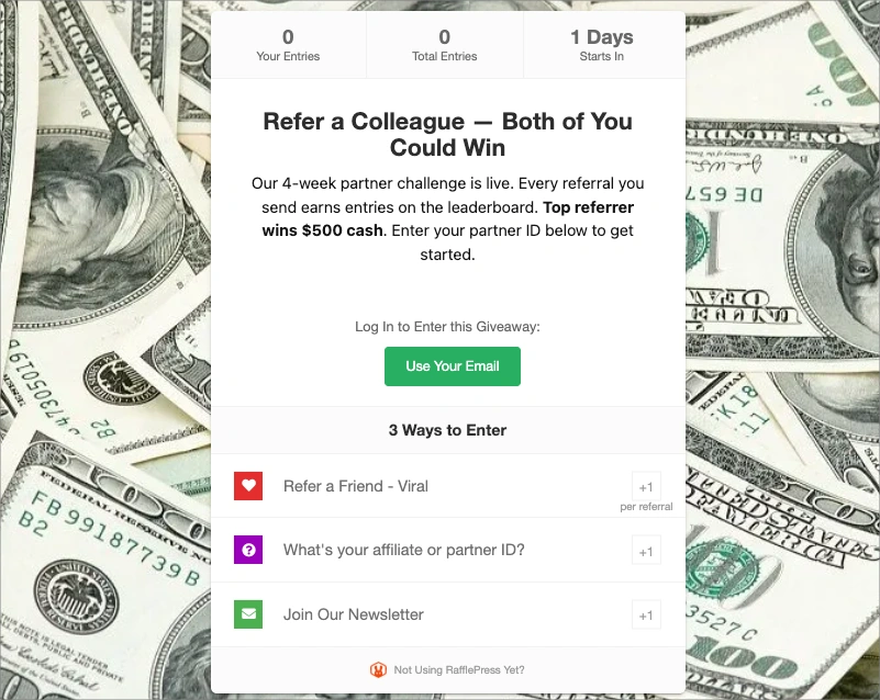 B2B partner referral contest showing a leaderboard for top referrers